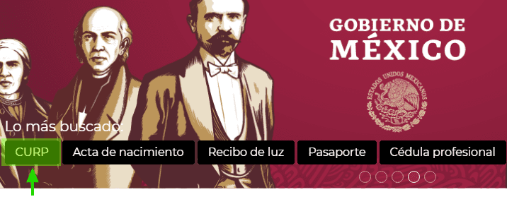 Curp Consulta Pagina Oficial