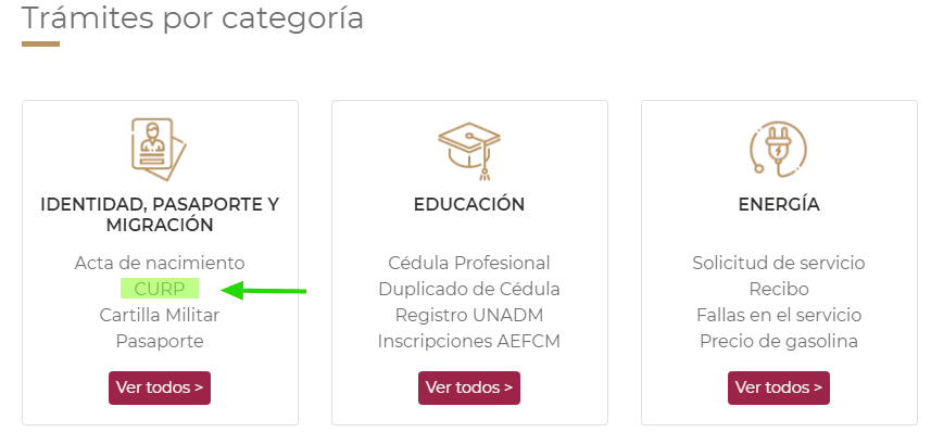 Consultar Curp Opcion
