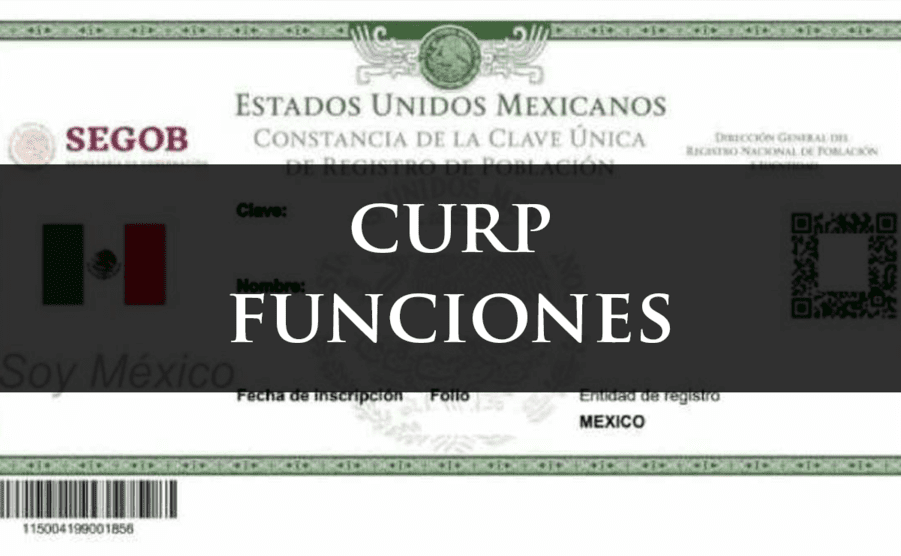 Curp Funciones