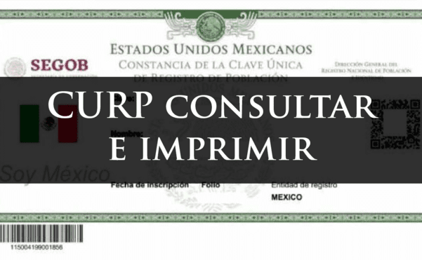 Curp Consultar E Imprimir