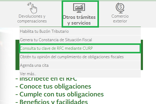 Rfc Con Curp