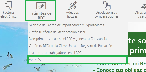 Validación Rfc